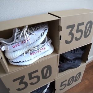 Meet your Posher, Gavin